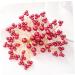 DOITOOL 1pc Wedding Headpiece for Bride Goody Hair Clips for Women Floral Hair Clip Flower Hair Clips for Women Headwear for Women Womens Hair Clips Pearl Hair Pin Tiara Comb Red Korean - Buy Online on GoSupps.com