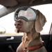 NAMSAN Dog Goggles | Clear UV Protection Sunglasses for Medium-Large Breeds | Anti-Fog, Windproof & Transparent Lens | Outdoor Eye Safety - Black - Buy Online on GoSupps.com