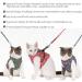 Shop Etopars Adjustable Cat Dishes & Vest Set - Ultra-Light Pet Jacket for Kittens & Puppies | International Shipping - Buy Online on GoSupps.com