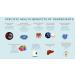 AGEREVERSE RESURGE SUPPLEMENT 90 CAPSULE - Buy Online on GoSupps.com