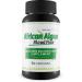 African Algae Blood Flow - Our Best Circulation Supplement - Better Blood Flow Circulation Supplements - Body Circulation Support - Max Men Blood Flow Supplement Pills - Advanced Blood Flow Capsules