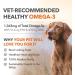 PetPal - Better Than Fish Oil - Pure Wild Alaskan Salmon Oil for Dogs & Cats - All Natural Supports Joint Function Pet Immune & Heart Health Healthy Skin & Coat - Omega 3 Super Food (8oz (240mL)) - Buy Online on GoSupps.com