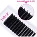 Easy Fan D Curl 0.07 8-14mm Mixed Russian Eyelash Extensions - Buy Online on GoSupps.com