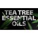 Spar Soap Original Bar 4oz - Activated Charcoal Tea Tree Body Soap for BJJ MMA Wrestlers | Antifungal USA Made Body Odor Control with Lemongrass & Peppermint - Buy Online on GoSupps.com