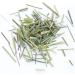 SVATV lemongrass Tea Loose Leaf (Cymbopogon Citratus) | Perfect for Tea & Seasoning | Lemongrass Dried Herbs | Versatile Herb | Easy To Brew - 227g 8.0 oz 0.50 Lbs - Buy Online on GoSupps.com