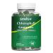 SXNWSN Chlorophyll Gummies(Green Apple Flavored) - Fresh Breath Immune & Digestive Support Super Green Complex with Sea Moss ACV Elderberry Echinacea | 90 Chews