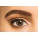 Buy FreshLook One Day Gray Daily Soft Lenses - 10 Pieces BC 8.6mm DIA 13.8mm -1.0 Diopter | International Shipping - Buy Online on GoSupps.com