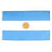 FLAG ARGENTINA 150x90cm - ARGENTINE FLAG 90 x 150 cm - flags AZ FLAG Top Quality Unique
