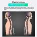 Back Stretching Bench with Cervical Traction - Lumbar Spine & Neck Massage Device for Body Relaxation - Buy Online on GoSupps.com