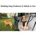 SlowTon Dog Seat Belt 2 Pack Pet Car Seatbelt Headrest Restraint Adjustable Puppy Safety Seat Belt Reflective with Elastic Bungee Connect with Dog Harness in Vehicle for Travel Daily Use Black Headrest Restraint - Buy Online on GoSupps.com