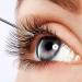 Shop Premium Eyelash Lift Tools: Eyelash Comb Separator & Applicator Kit for Perfect Lash Extensions - Buy Online on GoSupps.com