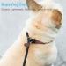 MayPaw Slip Collar Nylon Rope Choke Collar for Dog Training - No Pull Martingale Collar - Red - 24 x 1/2 - Buy Online on GoSupps.com