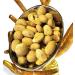 Jaiccha Ghasitaram Rakhi Gifts for Brothers Rakhi Dryfruits - Pudina Protein Almonds 400 GMS in Brown Paper Pouch with Rudraksh Rakhi - Buy Online on GoSupps.com