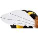 Zappi Co Plush Honey Bee Stuffed Toy - 30cm - Safari Animals Collection for Kids - Buy Online on GoSupps.com