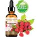 Red Raspberry Seed Oil 0.5 fl.oz - 100% Pure & Natural Cold Pressed Carrier Oil for Skin, Hair, Lips, Nails - High in Antioxidants, Vitamin A & E, Omega 3, 6, 9 - Buy Online on GoSupps.com