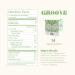 Steep & Mellow Functional Mushroom Green Tea | 14 Count | 100% Compostable Packaging - Buy Online on GoSupps.com
