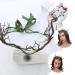 Beavorty Hair Accessory Fairy Antler Crown Elf Flower Headpiece Leaf Tiara Circlet Forest Headband Tree Branches Headdress for Renaissance Halloween Cosplay Festival Accessory - Buy Online on GoSupps.com