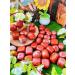XIANNVXI Red Jasper Crystal Stones Natural Irregular Polished Tumbled Stones Bulk Crystals Gemstones Vase Filler Decorative Stones Reiki Palm Energy Stones 100 Gram G - Red Jasper - Buy Online on GoSupps.com