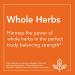 NOW Supplements Goldenseal Root 500mg Herbal Supplement - 50 Veg Capsules - Buy Online on GoSupps.com