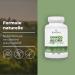 Bandini Ginkgo Biloba 6000mg 365 comprim s (1 an) 50:1 Extrait pur de Ginko Biloba avec Flavones Glycosides et Terp nes Lactones Compl ment alimentaire haute dose nootropique Sans OGM 100% Vegan - Buy Online on GoSupps.com