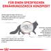 Royal Canin Veterinary Gastrointestinal Dry Cat Food | 4 Pack (4 x 400g) for Gastrointestinal Health | High Acceptance | 1.6 kg - Buy Online on GoSupps.com