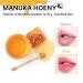 YNM Candy Honey Lip Balm - Light Pink & 4 Colors | Non-Sticky K-Beauty Tinted Lip Balm with Manuka Honey for Moisture & High Shine - Buy Online on GoSupps.com