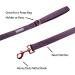 Lionet Paws Dog Leash - Premium Silk Leash for Small Medium & Large Dogs | Matching Collars in Purple for Boys & Girls - Durable & Stylish (Pack of 1) - Buy Online on GoSupps.com
