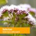 Herb Pharm Valerian Alcohol-Free Tincture 1 fl oz - Natural Sleep Aid & Relaxation - Buy Online on GoSupps.com