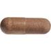 Natural Factors Bee Propolis 500mg - 90 Capsules for Immune Support - Buy Online on GoSupps.com