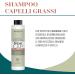  Erba Vita ERBA VITA Shampoo for oily hair cosmetic product to cleanse and remove impurities from the scalp - 250 ml - Buy Online on GoSupps.com