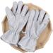 Kitchen Gloves for Washing Dishes | Anti-slip Household Waterproof Cleaning Gloves - 30cm Padded Dish Gloves for Dishwashing Car Washing Window Cleaning - Buy Online on GoSupps.com