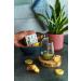 Organic Ginger Juice 6 Pack (6x250ml) | Cold-Pressed Pure Ginger | No Sugar Dyes or Preservatives | Vegan & Vegetarian - BerriesPolska  - Buy Online on GoSupps.com