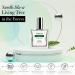DEMETER Fragrance Library 3.4 oz Cologne Spray - Fraser Fir - Buy Online on GoSupps.com