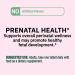 Prenatal Multivitamin 100 Tablets Prenatal Vitamins for Women Pregnancy Must Haves + Complimentary Vitamin & Mineral Guide Upon Request - Buy Online on GoSupps.com