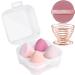 AUAUY 6 Pcs Makeup Sponges Blender Set 4 Pcs Professional Beauty Sponge Foundation Blending Blender with 1 Powder Puff 1 Sponge Holder Case Multi-colored Makeup Sponges for Cream Liquid and Powder 4pcs-Pink - Buy Online on GoSupps.com
