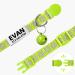 TagME 2 Pack Personalized Reflective Cat Collars with Bell - Green - Buy Online on GoSupps.com