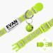 Tagme 2 Pack Cat Collar with Name & Phone | Adjustable Safety Clasp & Bell | Green Kitten Necklaces (15-20 cm) - Buy Online on GoSupps.com