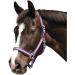 Buy Kerbl Nylon Halter Hippo - Adjustable Nylon Halters for Pony Shetty Full and XFull in 6 Colors - Durable Large Navy/Light Blue Options - Buy Online on GoSupps.com