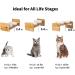 FUKUMARU Elevated Cat Ceramic Bowls: Small Dog Raised Food & Water Bowl Set with Bamboo Stand - Buy Online on GoSupps.com