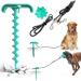 Dog Tie Out Cable and Stake Dog Spike Stake in Ground Dog Lead Leash Sturdy Spiral Ground Anchor with Dog Chew Molar Ball Toy and Dog Elasticity Dog Chain for Camping Backyard