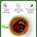 SUIOPPYUW Safe Stain Removal Solution Regular Cleaning For Healthy Lifestyle Decalcifier For Coffee Makers ABS Seeing Is Believing - Buy Online on GoSupps.com