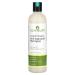 Zion Health Ancient Minerals-Anti-Dandruff Shampoo-Tea Tree Oil & Evening Primrose Oil 12 oz Liquid