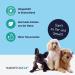 Dog Care24 Stain & Smell Remover Spray 1L | Powerful Odor Neutralizer for Pet Urine Feces Vomit & Sweat - Natural Cleaner for Dogs & Cats - Buy Online on GoSupps.com