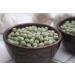 Organic Whole Dried Green Peas 2 Pounds | Non-GMO Green Vatana Vegan Kosher Bulk | Rich in Protein & Fiber | Ideal for Green Curry, Stews, Salads, Pea Soup | 2 lb Pack - Buy Online on GoSupps.com