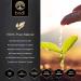 Bodi Bromelain Powder 2400gdu Extract - Pure Natural Chemical Free (4 oz) - Buy Online on GoSupps.com