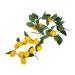 Zerodeko 4 Pcs Simulation Lemon Rattan Garland Decor Plant Flower Embellishments Front Door Wreath Wedding Supplies Artificial Flower Spring Front Door Adornment Summer Plastic Green Leaves Yellowx2pcs 100x13cmx2pcs