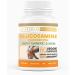 Maximize Joint Health with Glucosamine Chondroitin, Turmeric & MSM - Buy Online on GoSupps.com