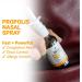 BEE and You Plus Natural Propolis Nasal Spray 1 Fl oz - Drug-Free Sinus and Allergy Relief | Alcohol-Free Medical Grade Propolis Nose Drops - Nasal Moisturizing Spray for Congestion - Pack of 1 - Buy Online on GoSupps.com