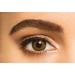 Buy FreshLook One Day Pure Hazel Daily Soft Lenses | 10 Pieces | BC 8.6mm | DIA 13.8mm | -2.0 Diopters | International Shipping - Buy Online on GoSupps.com
