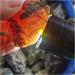 50-500g Natural Amber raw Stone Crystal Rough Rock specimens Home Decor (Size : About 100g) - Buy Online on GoSupps.com